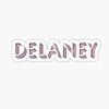 delaney6105
